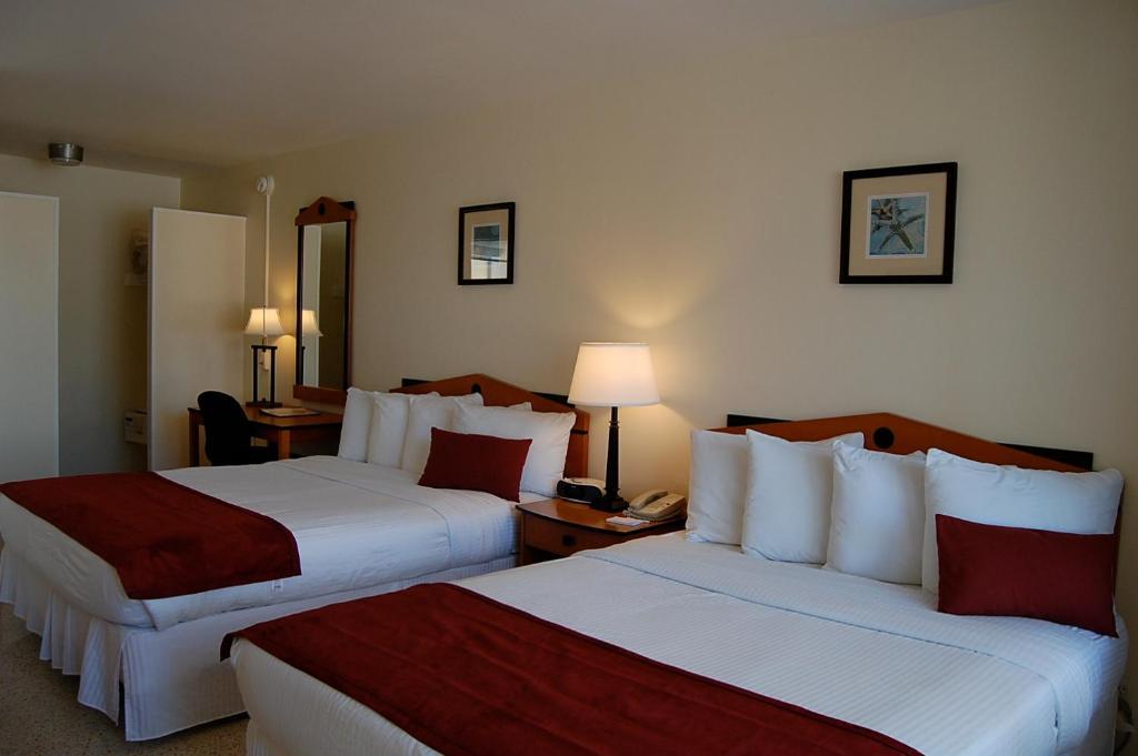 Alcazar Resort- Gay Mens Resort Форт-Лодердейл Номер фото